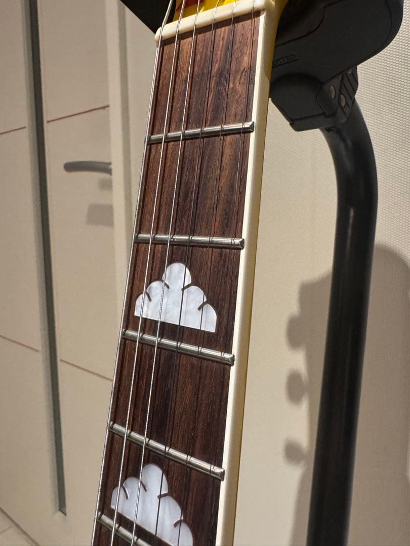 Burny FERNANDES MG-165S HY hideモデル 中古 - メルカリ