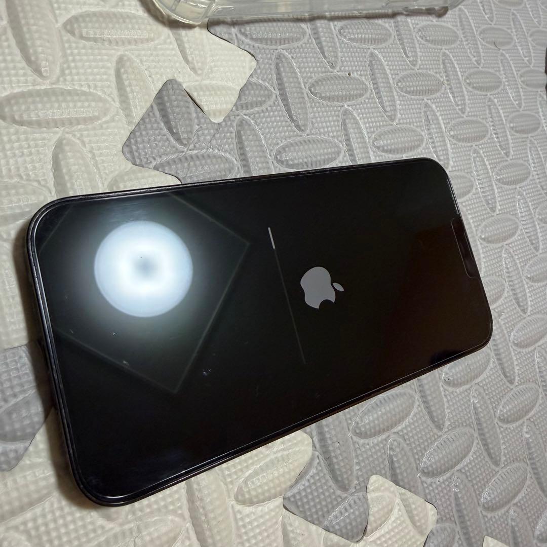 iPhone 13 Pro Max グラファイト