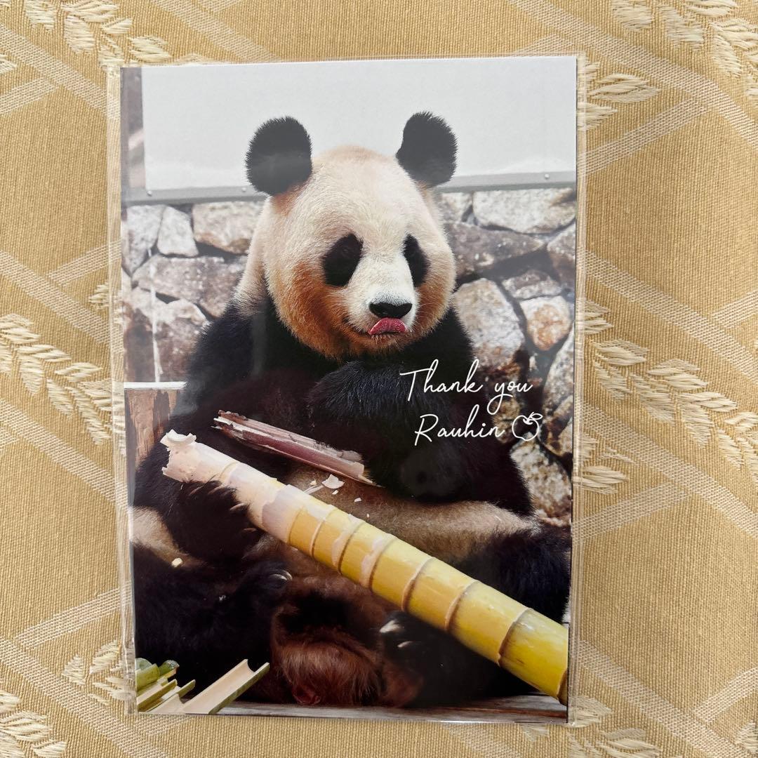 《新品》パンダdeナイト　白浜アドベンチャーワールド　イベントグッズ　ハガキ　他