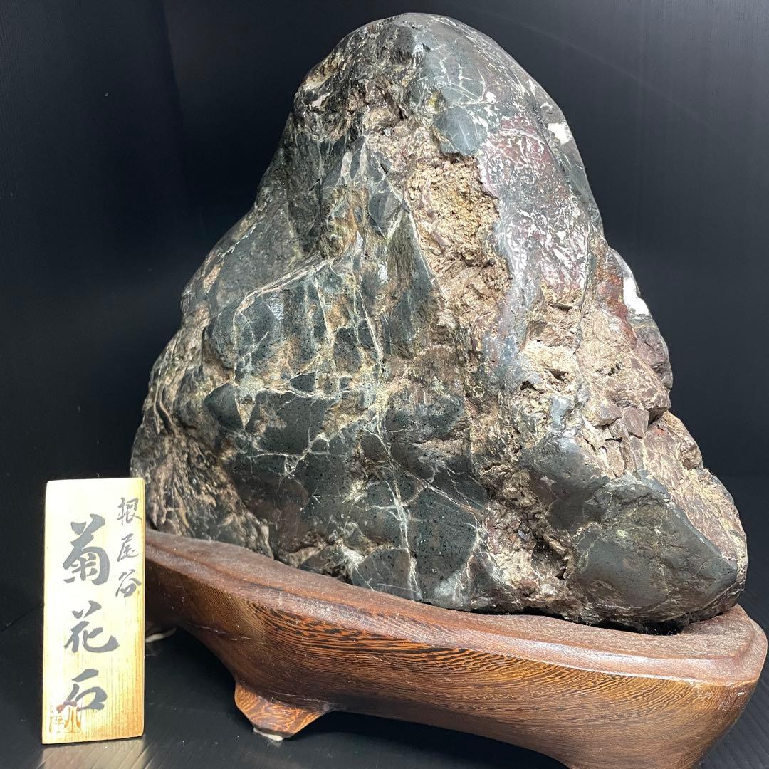 最高峰 根尾谷 菊花石 重量 10.77kg 特大 台座 鑑賞石 盆石 水石 白
