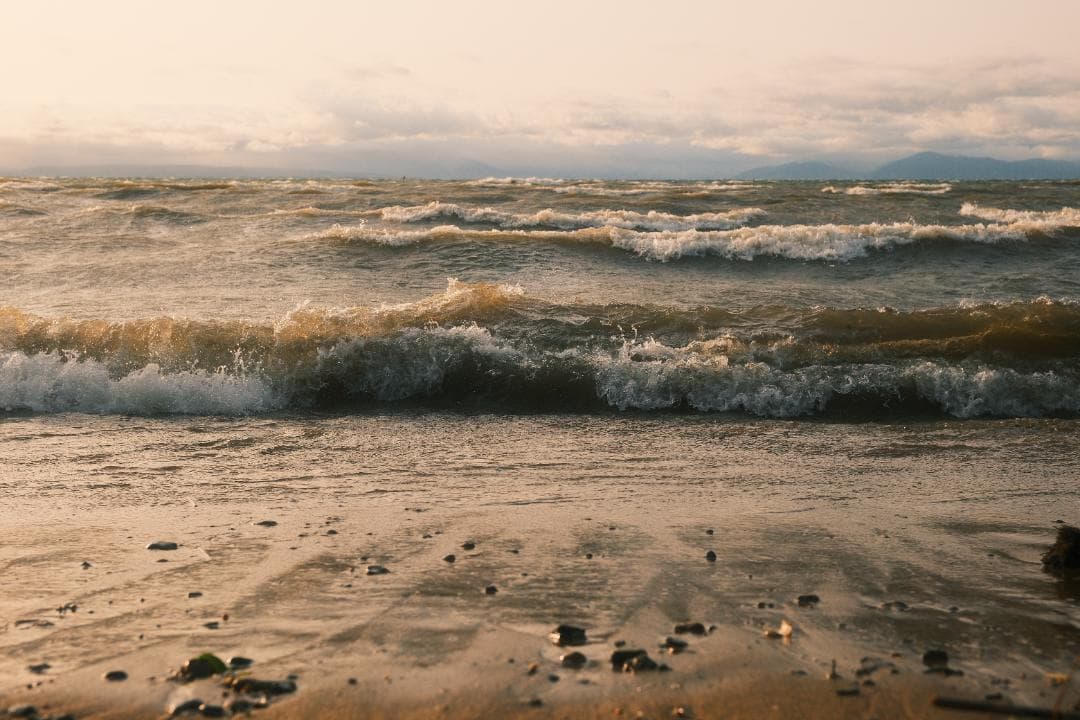 Zeiss Touit 1.8/32mm Xマウント for FUJIFILM