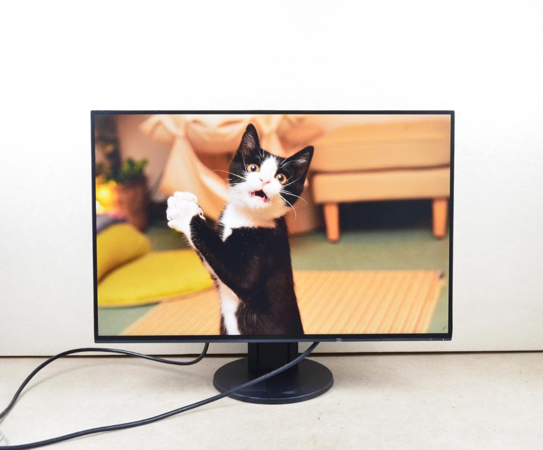超狭額　EIZO　EV2456　24型　WUXGA　HDMI　IPS　スピーカー 超狭額 EIZO EV2456 24型 WUXGA HDMI IPS スピーカー 超狭額 EIZO EV2456