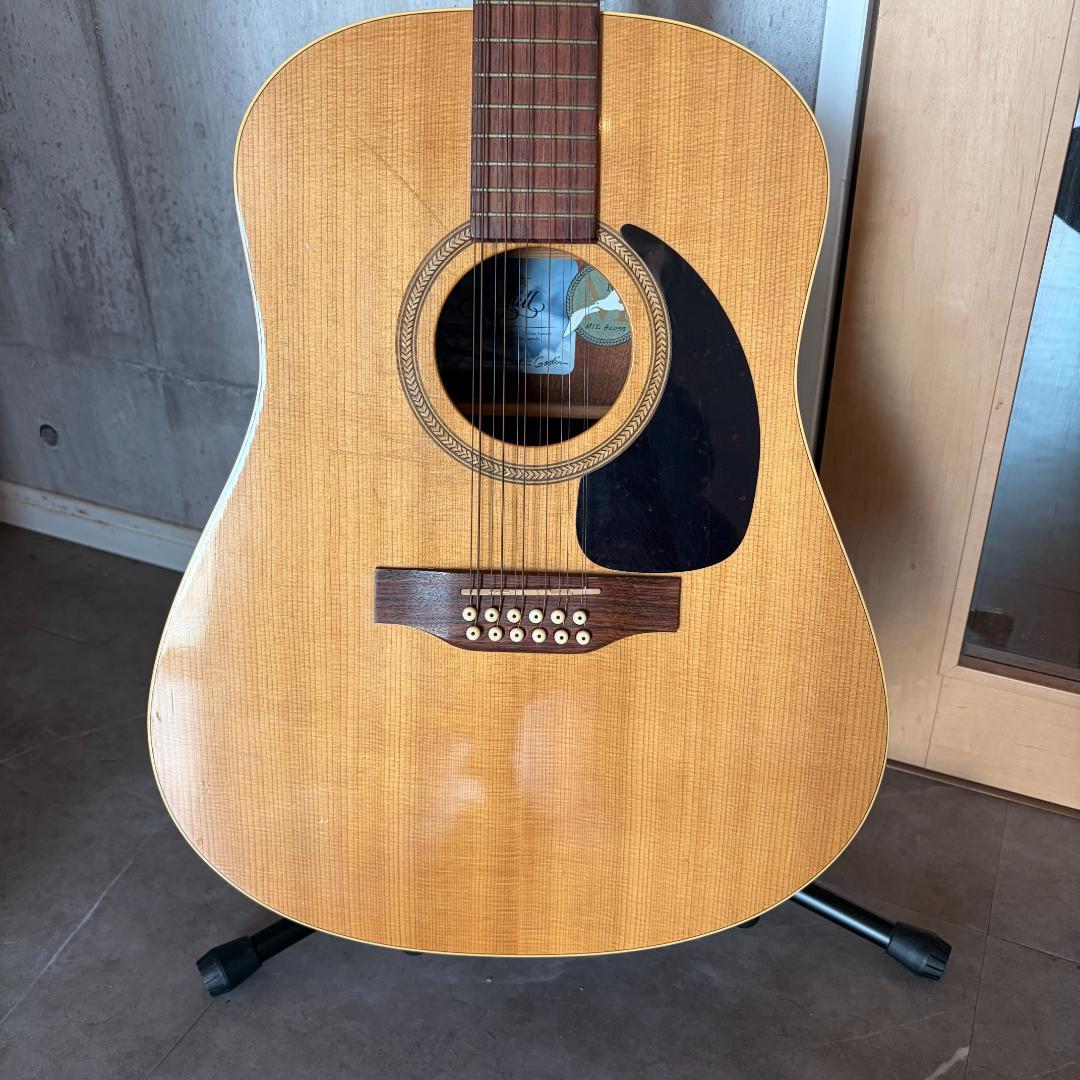 Seagull Guitars カナダシーガル製12弦ギター M12 CLOSS - メルカリ