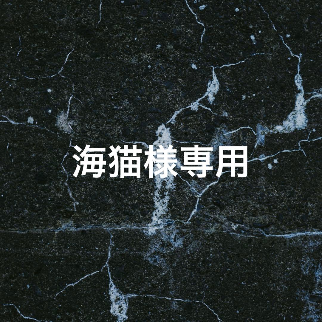 海猫　1/12 KUIN KISSA 25SS クレイジースタッズキャップ STAR CAT5(ONESIZE GRAY): ニットキャップ帽子通販｜CA4LA公式