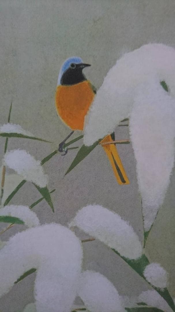 山口 華楊、コロタイプ・希少大判画版、新品高級額・額装付、日本画