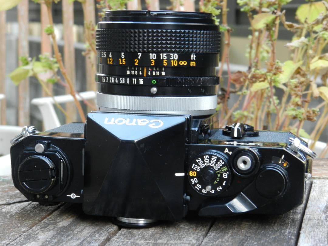 美品　Canon F-1+50mm 1.4 ssc S.S.C 即撮影可