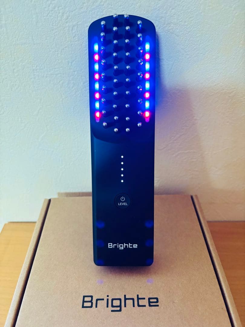 24時以内に発送♪ 【美品】ブライトエレキブラシ