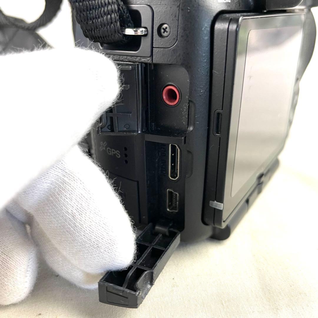 SONY ソニー デジタル一眼レフカメラ a65 SLT-A65V