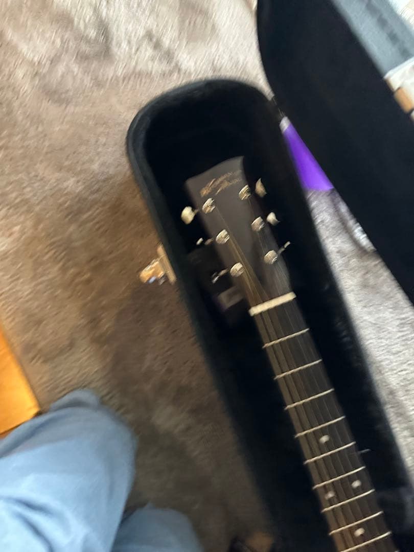 Recording King RO318 000-18 Gator ハードケース - メルカリ