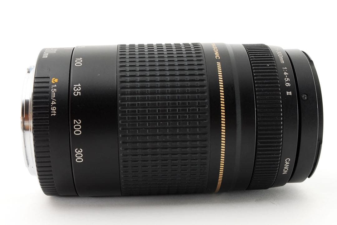 フード付き/人気の望遠レンズ/キヤノン/Canon EF75-300㎜