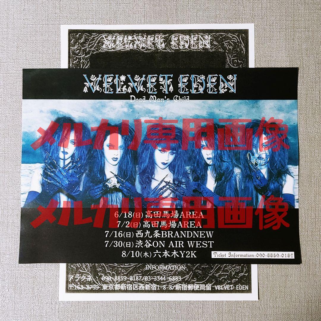 VELVET EDENフライヤー Kaya Schwarz Stein DADA