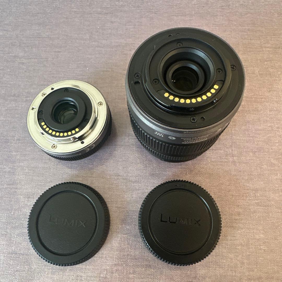 【美品】Panasonic Lumix DMC-GF2