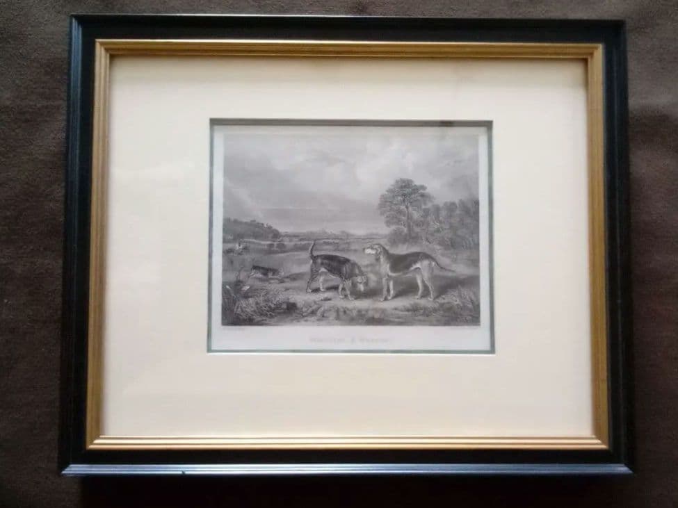 イギリス 銅版画 (エッチング技法) の額装品 猟犬 hq720.jpg?sqp=-