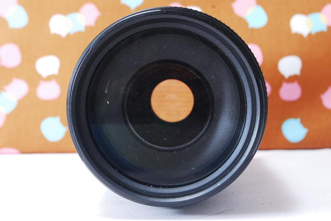 ✨大人気望遠レンズ✨Canon EF 75-300mm F4-5.6 Ⅲ USM