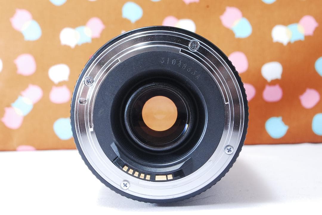 ✨大人気望遠レンズ✨Canon EF 75-300mm F4-5.6 Ⅲ USM