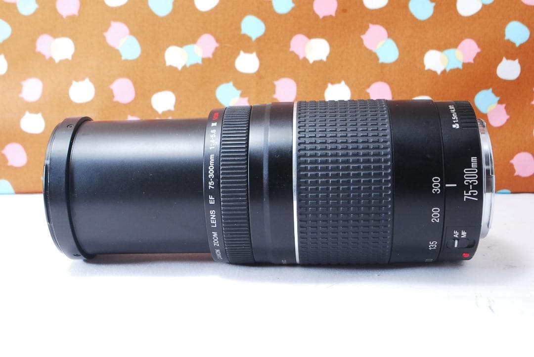 ✨大人気望遠レンズ✨Canon EF 75-300mm F4-5.6 Ⅲ USM