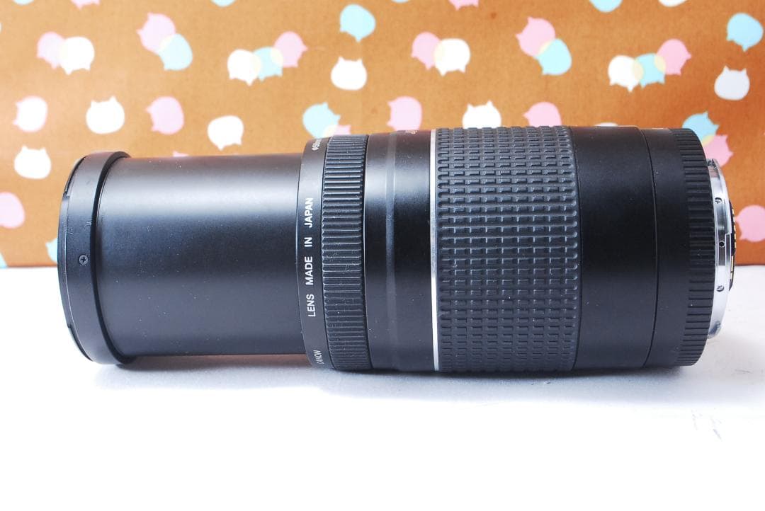 ✨大人気望遠レンズ✨Canon EF 75-300mm F4-5.6 Ⅲ USM