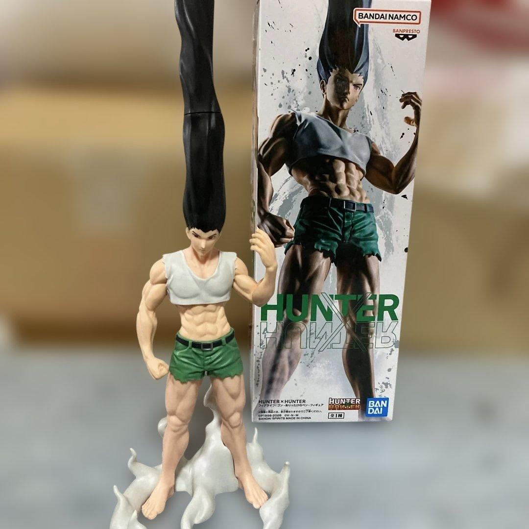 HUNTER×HUNTER ゴン フィグライフ -ありったけのペン- - メルカリ