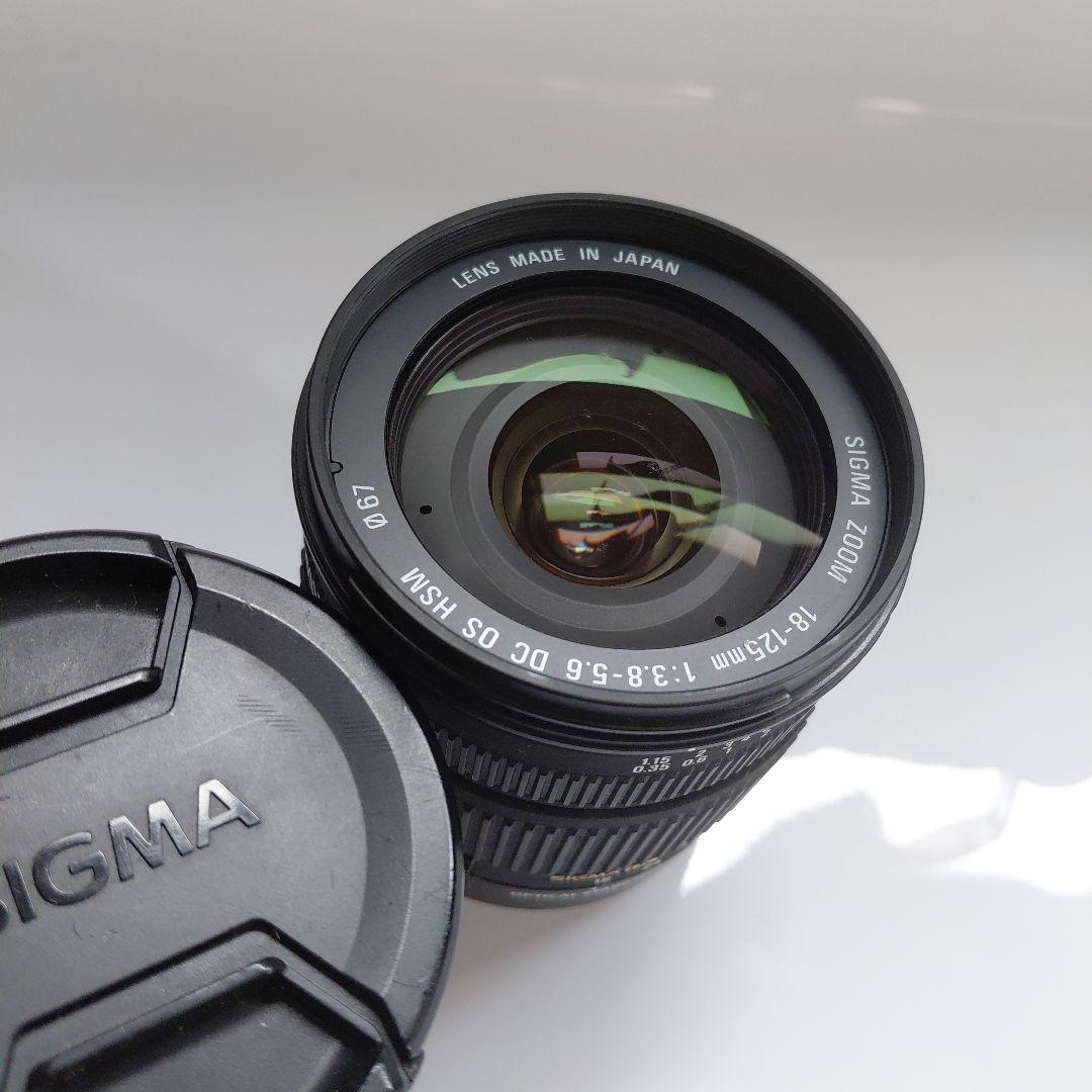 SIGMA 18-125mm F3.8-5.6 高倍率ズームレンズ Canon