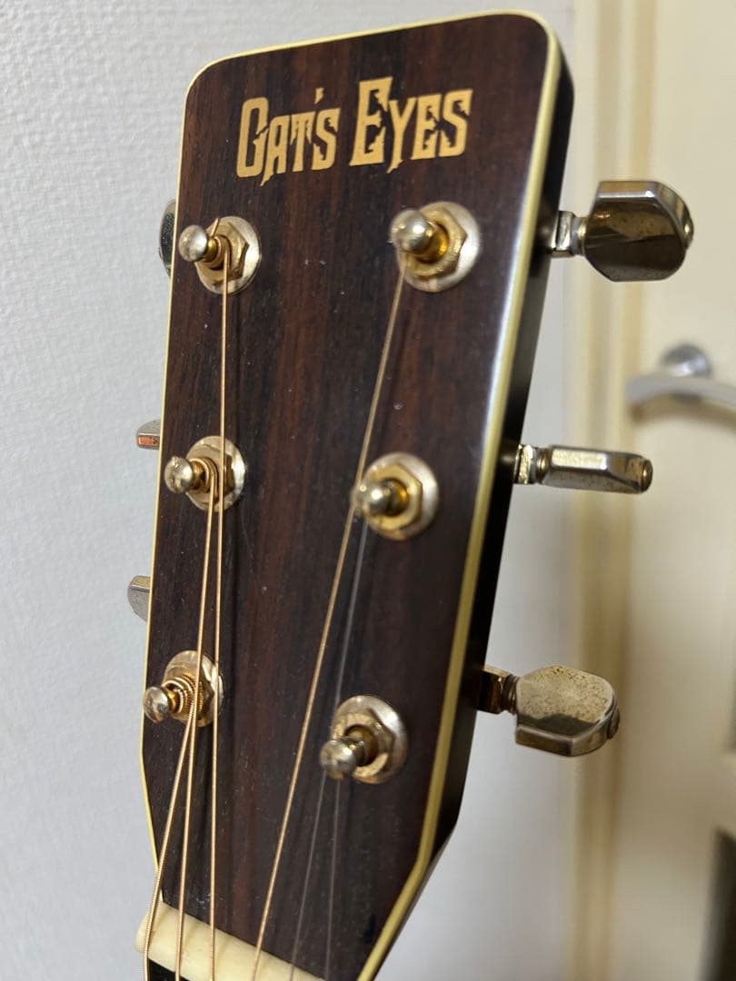 Cat's Eyes CE-500 大文字ロゴ アコースティックギター