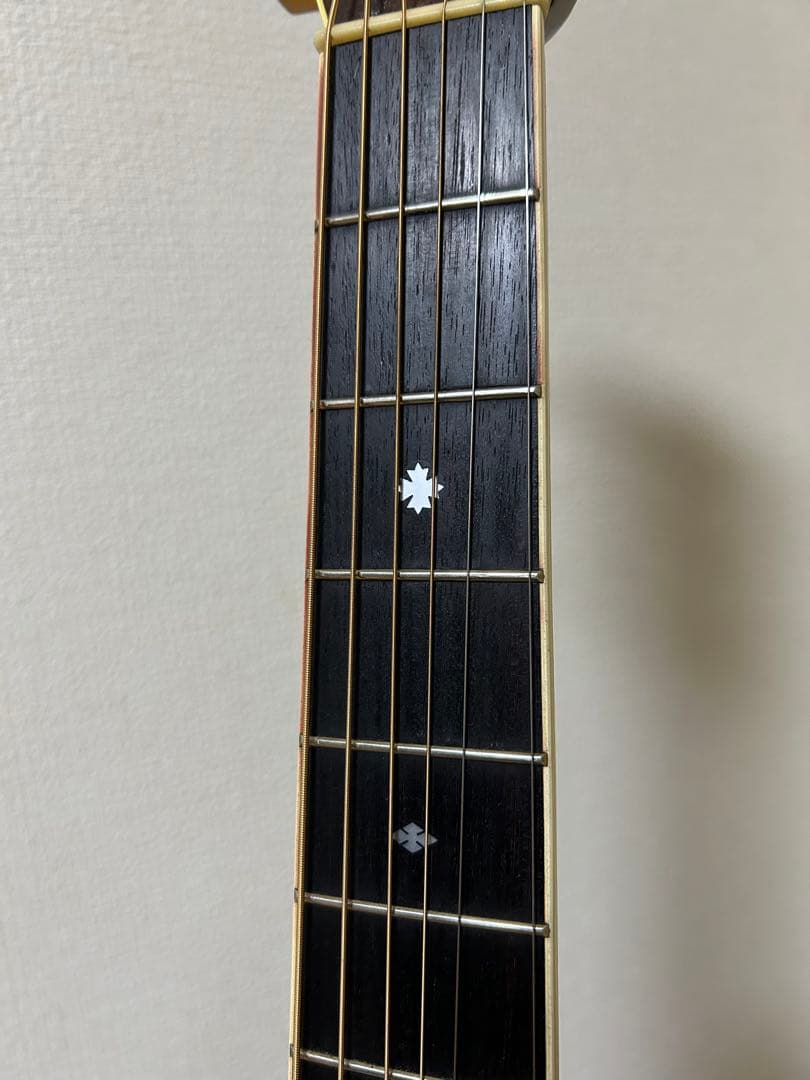 Cat's Eyes CE-500 大文字ロゴ アコースティックギター