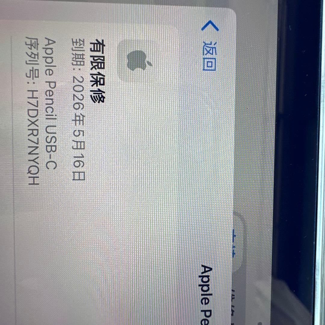 超特価Apple Pencil (第2世代) ホワイト