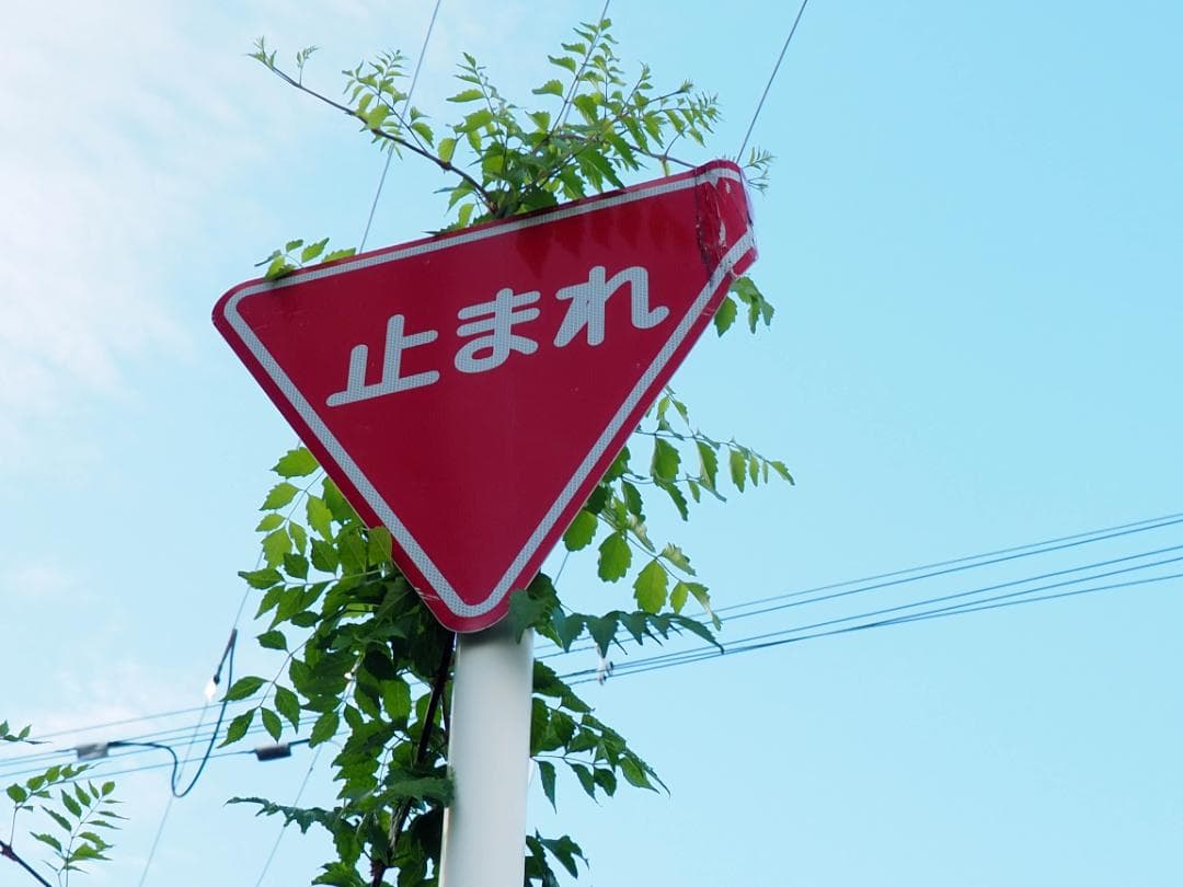 OLYMPUS PEN E-PL9 レンズキット スマホ転送OK