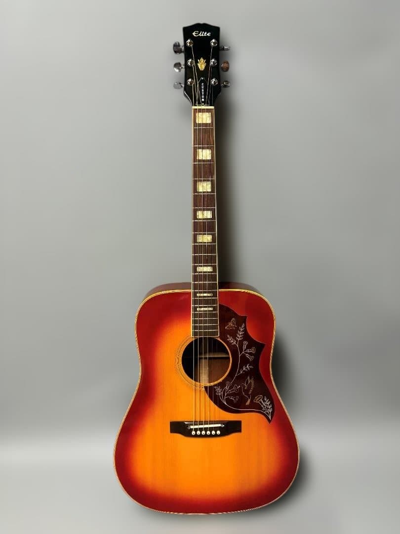 ケ*ジ様 ☆タカミネ・ハミングバード！エリート・カスタム HM-25 超