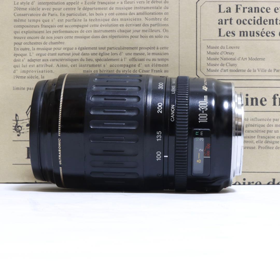 ◇レンズフィルター付&高速AF◇Canon純正 300mm超望遠レンズ!!◇