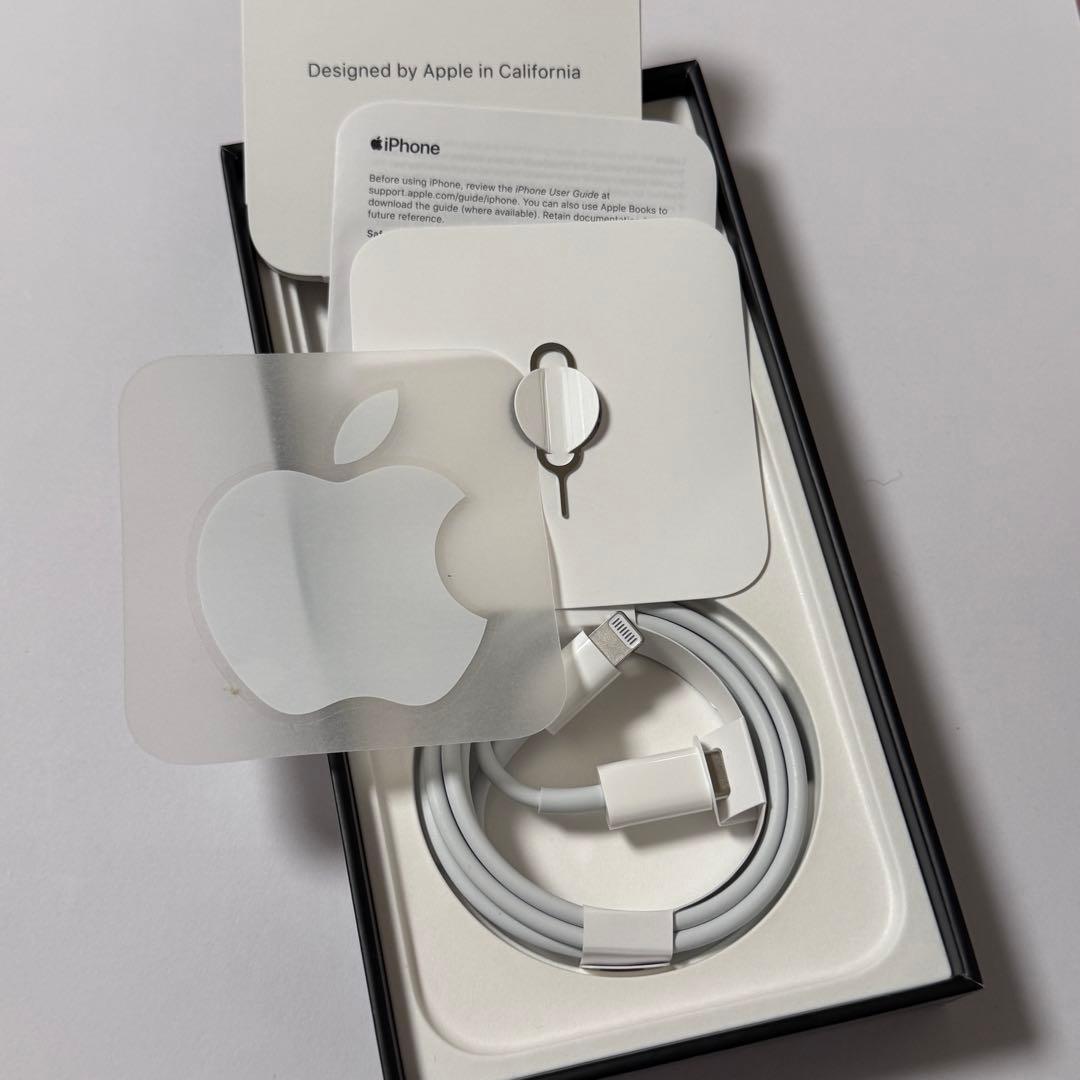 海外版 iPhone 13 Pro 512GB グラファイト