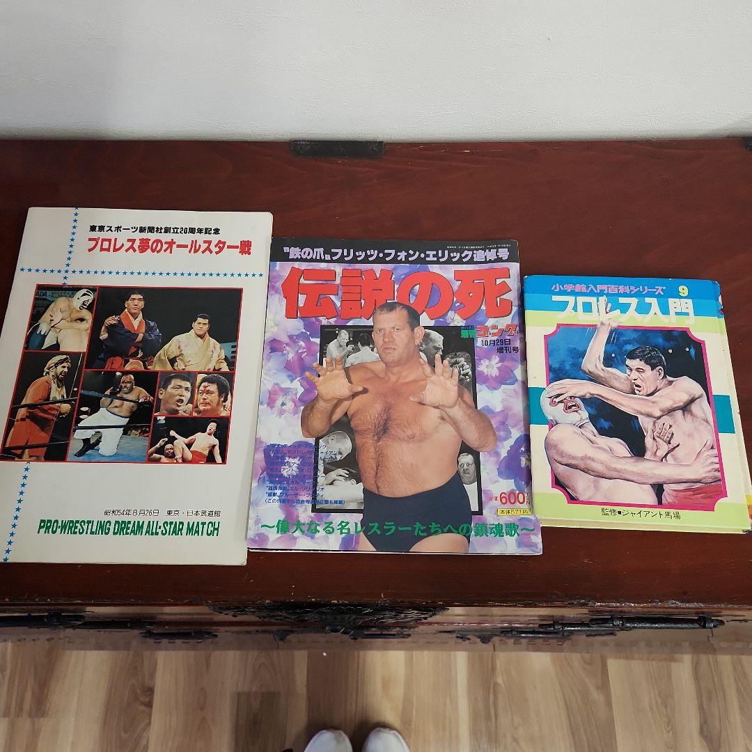 プロレスファン必見　雑誌 プロレス夢のオールスター戦 検証 8.26プロレス夢のオールスター戦 – 闘道館