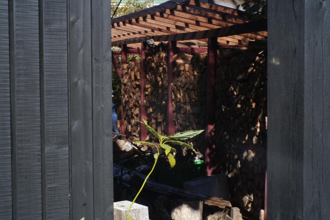 Leica Hektor 7.3cm f1.9 L39 ヘクトール73mm