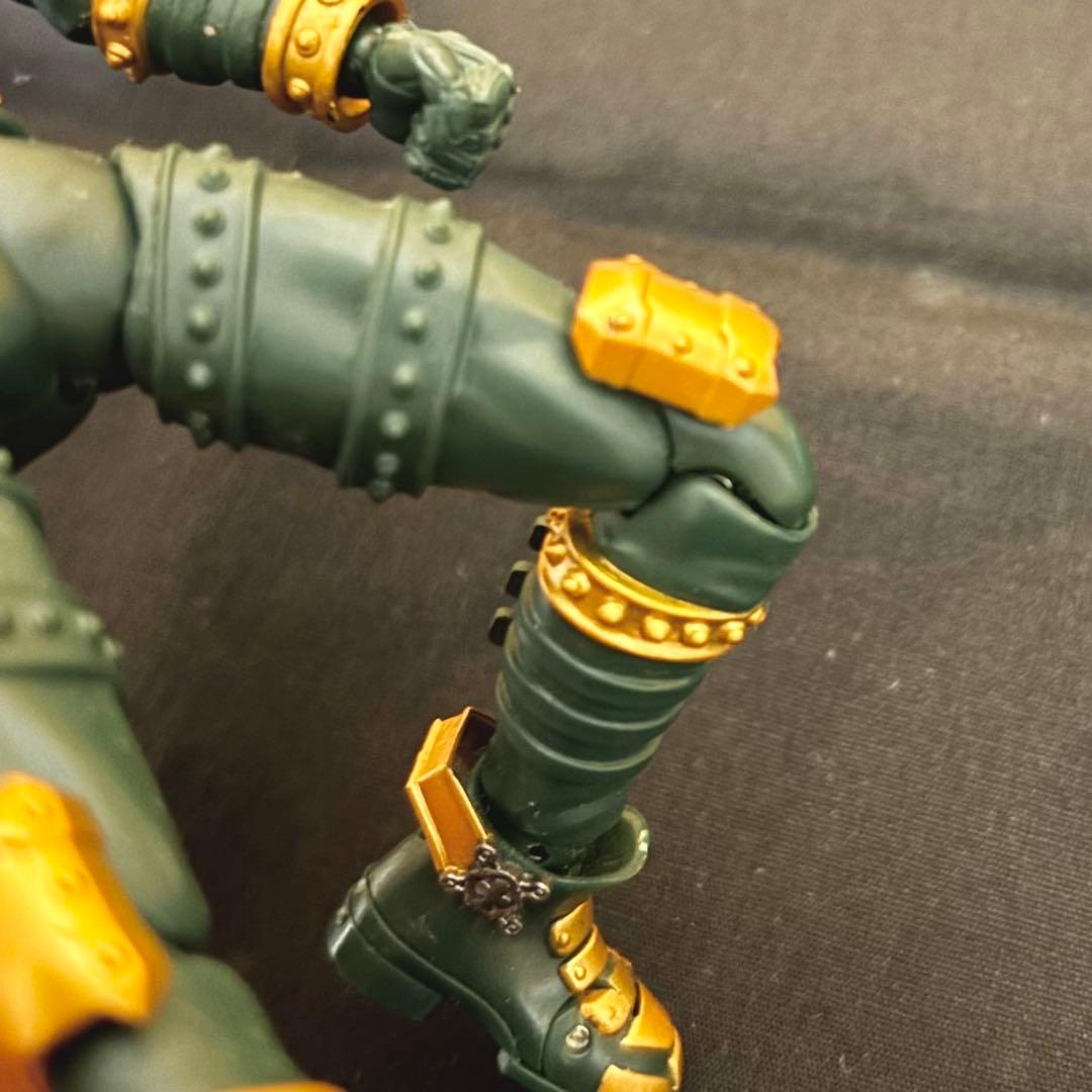 【説明必読】 S.H.Figuarts 仮面ライダーカリス 仮面ライダーレンゲル