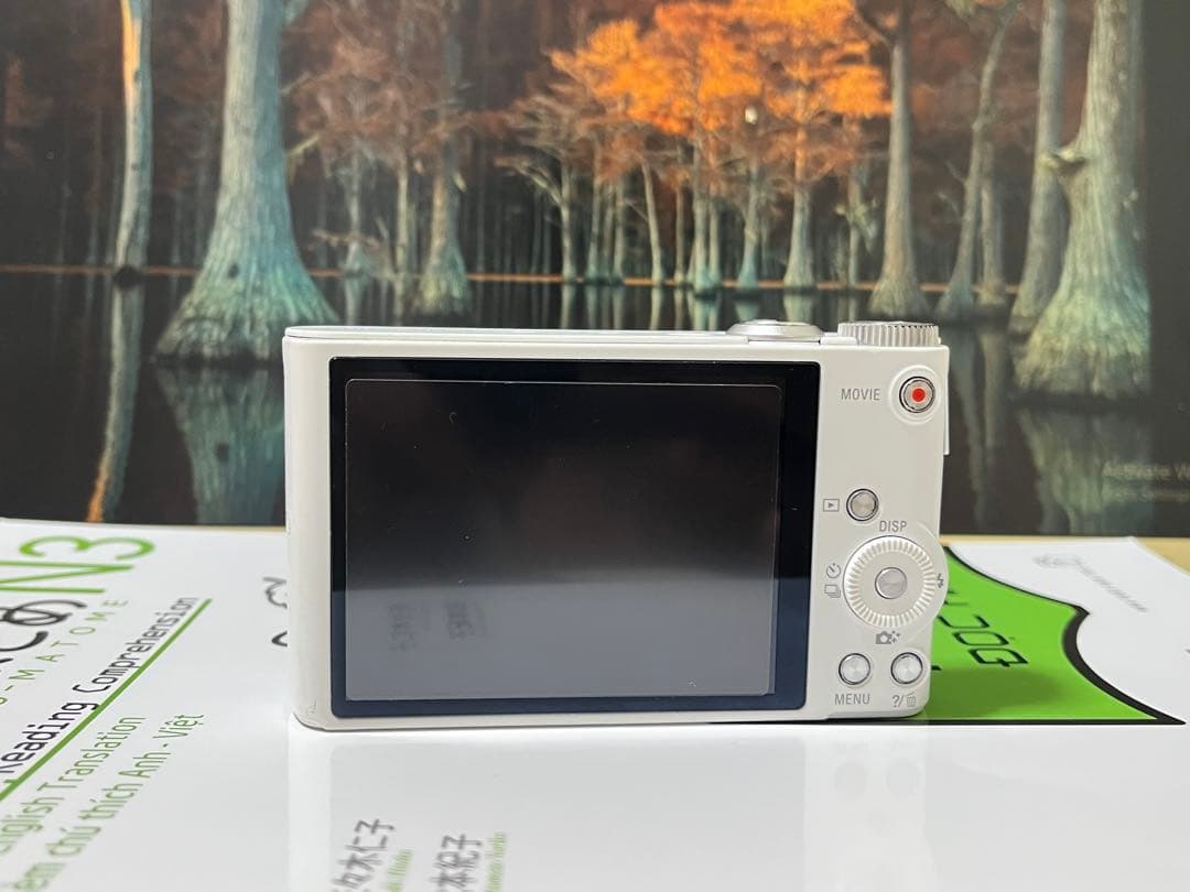 デジタルカメラ SONY WX300