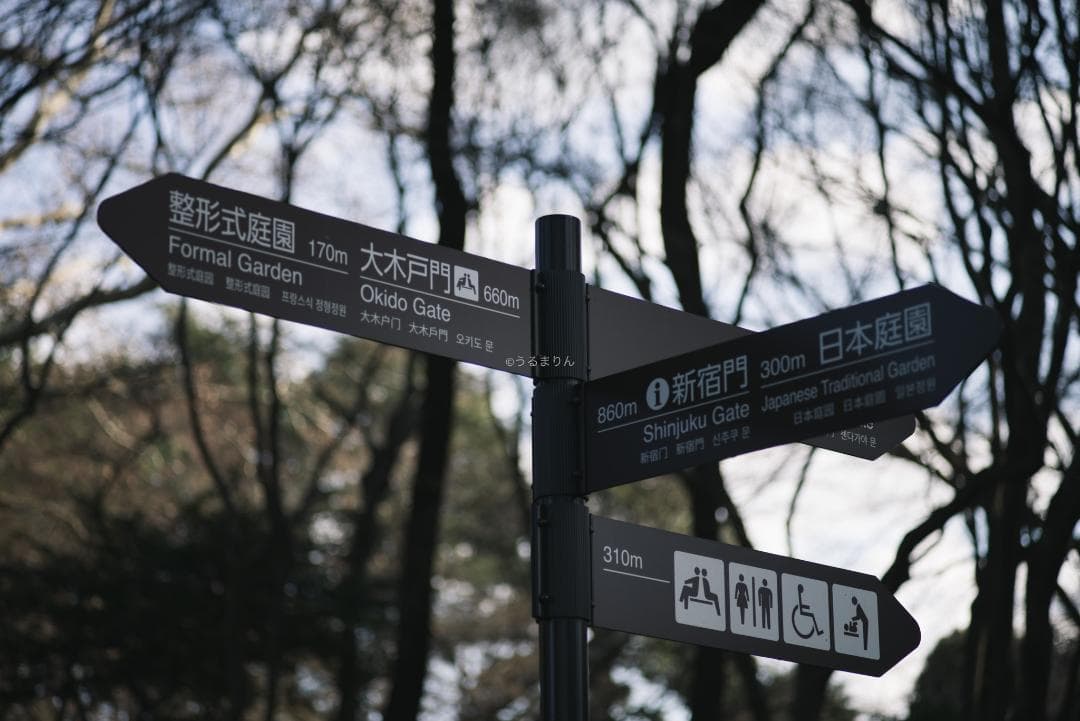 良品！CONTAX屈指の解像！SONNAR 85mm AEG オールドレンズ