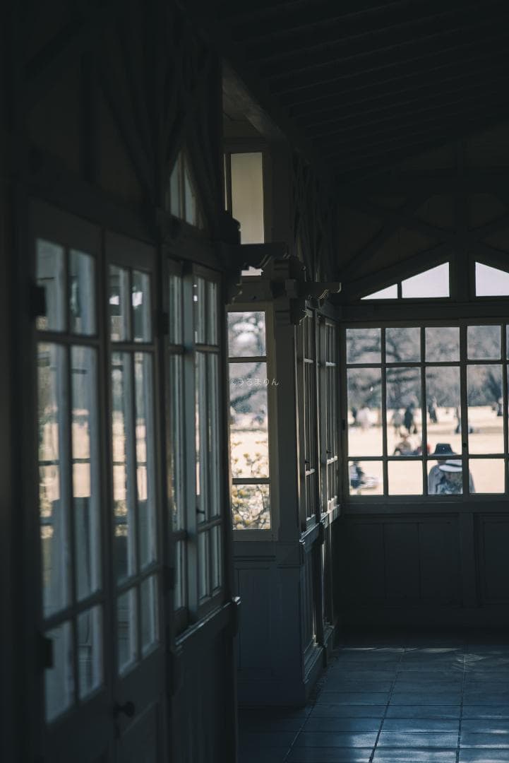 良品！CONTAX屈指の解像！SONNAR 85mm AEG オールドレンズ