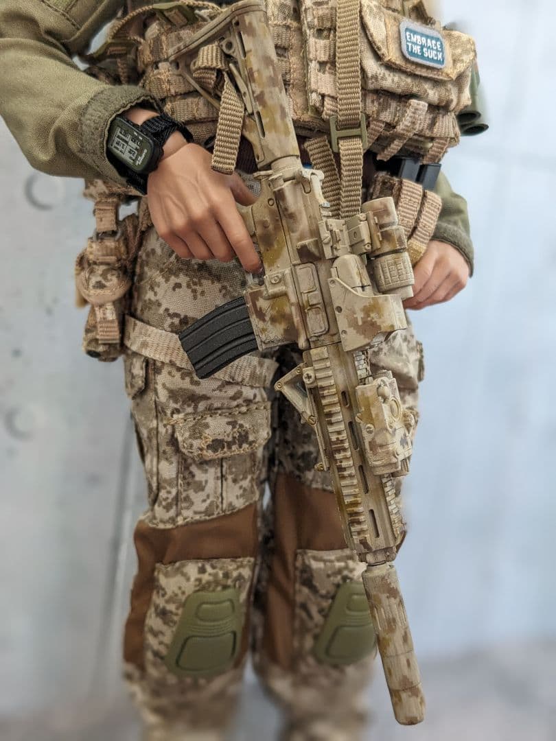 絶版DEVGRU ゼロ・ダーク・サーティー 1/6 12インチ SO114 - メルカリ