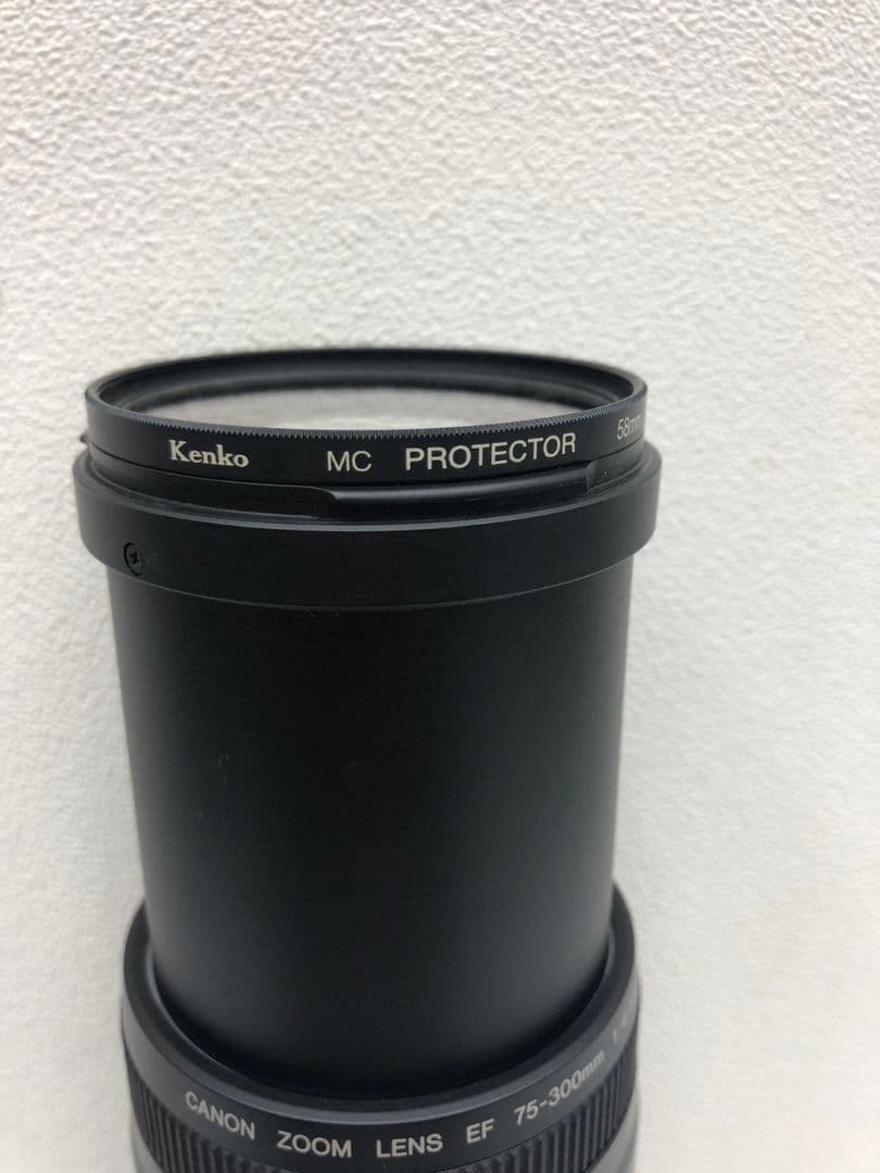 キャノン　EF 75-300mm 1:4-5.6 Ⅱ カメラ レンズ ズーム