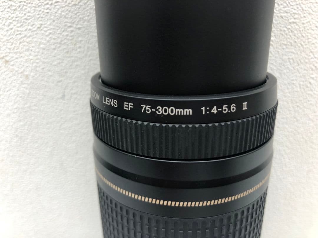 キャノン　EF 75-300mm 1:4-5.6 Ⅱ カメラ レンズ ズーム