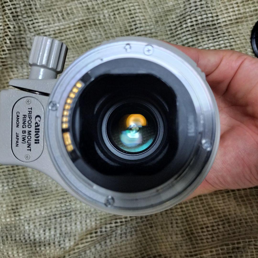 値下 美品 EF300mm F4L IS USM 迷彩スパッタ2種 - メルカリ