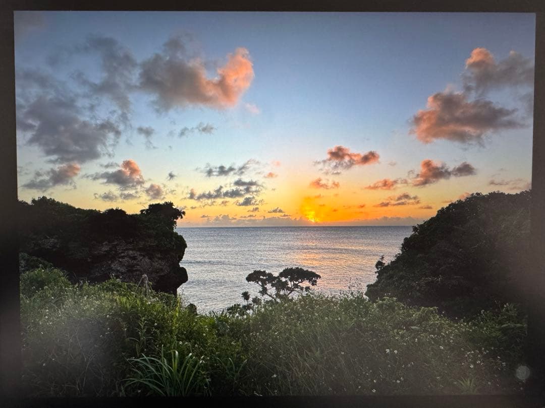 iPad本体 M1 iPad Pro 11inch 1tb Wi-Fi + Cellular