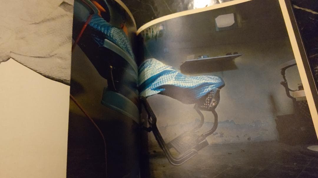 FOXY LADY チェイコ・レイドマン CHEYCO 写真集