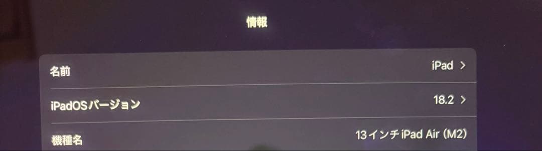 【充電91回/100%】iPad Air M2 13インチ256GB Wifi