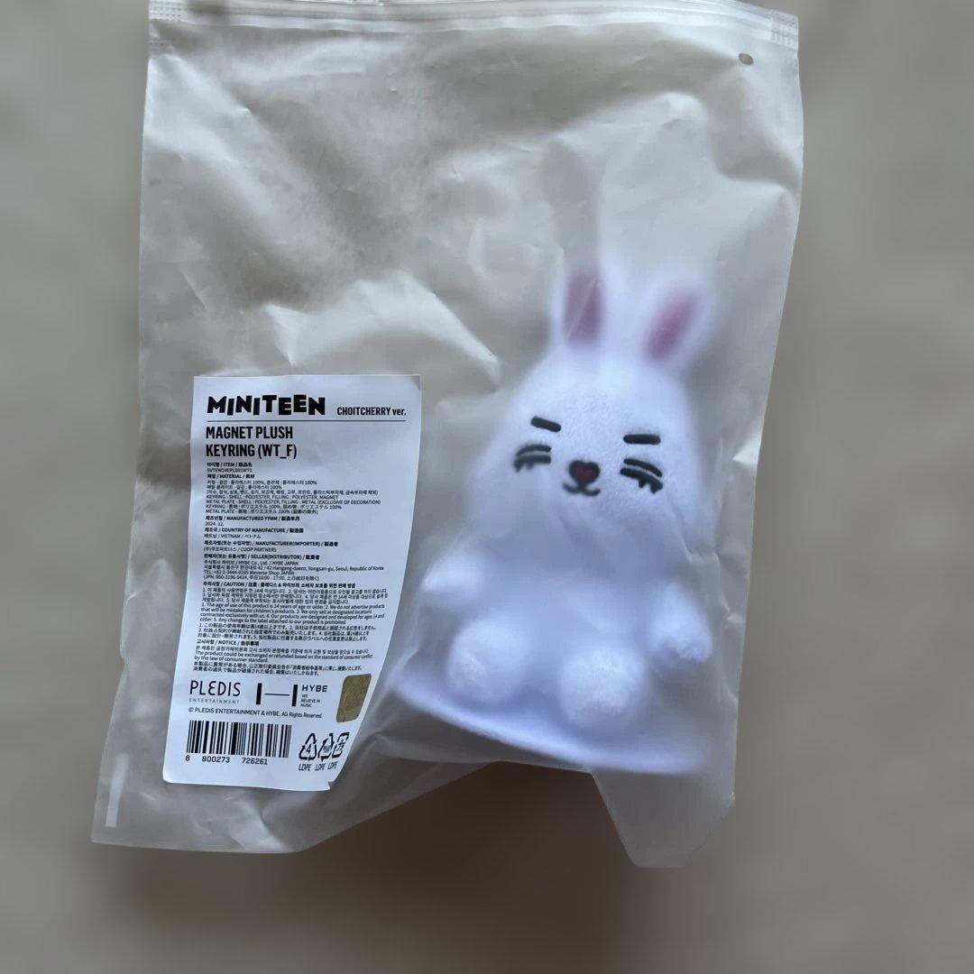 SEVENTEEN MINITEEN マグネットキーリング エスクプス セブチ - メルカリ