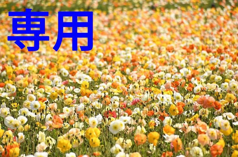 まるさん専用 まるさん専用 まるさま 専用① maru!さん専用 maruさん専用 レビュー