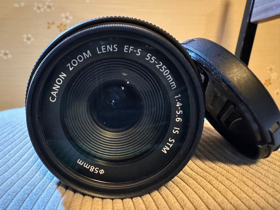 CANON ZOOM LENS EFS 55-250mm キャノンレンズ