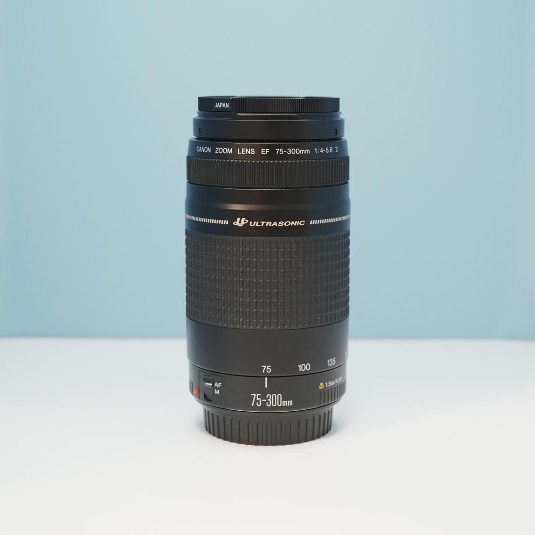 Canon純正 75-300mm 望遠レンズ 極美品 a4951