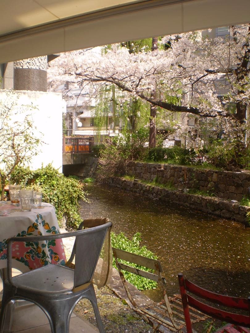 【動作確認済み】OLYMPUS FE-220 本体のみ