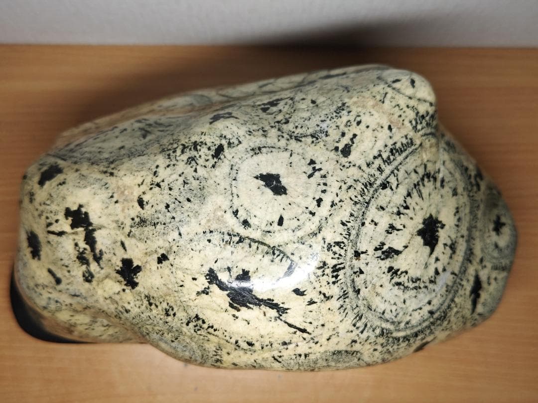 ナポレオン石 13kg 時計石 球状閃緑岩 原石 鑑賞石 自然石 紋石 水石