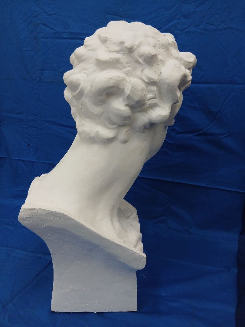 メディチ石膏首像 高さ60cm